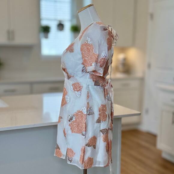 Hello Molly | NWT Orchard Fields Dress in Peach - Picture 4 of 7
